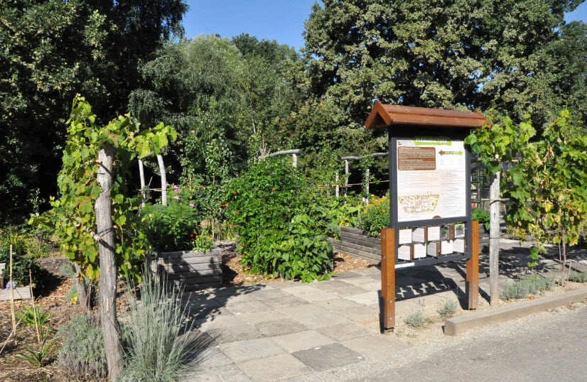 Botanical Garden SPU, Slovakia